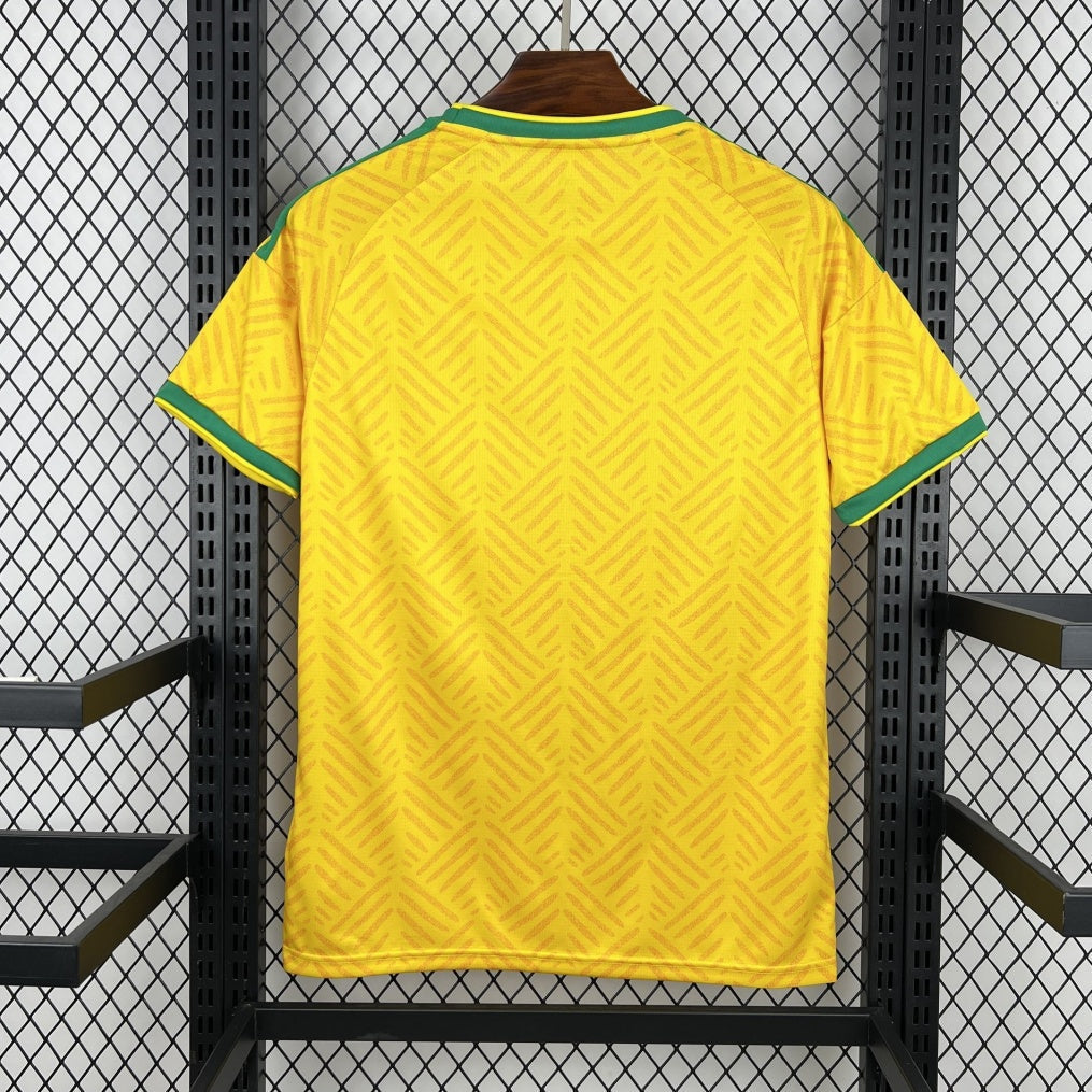 Maillot 2026 South Africa  Domicile