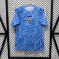 Maillot 2026  Haiti goalkeeper