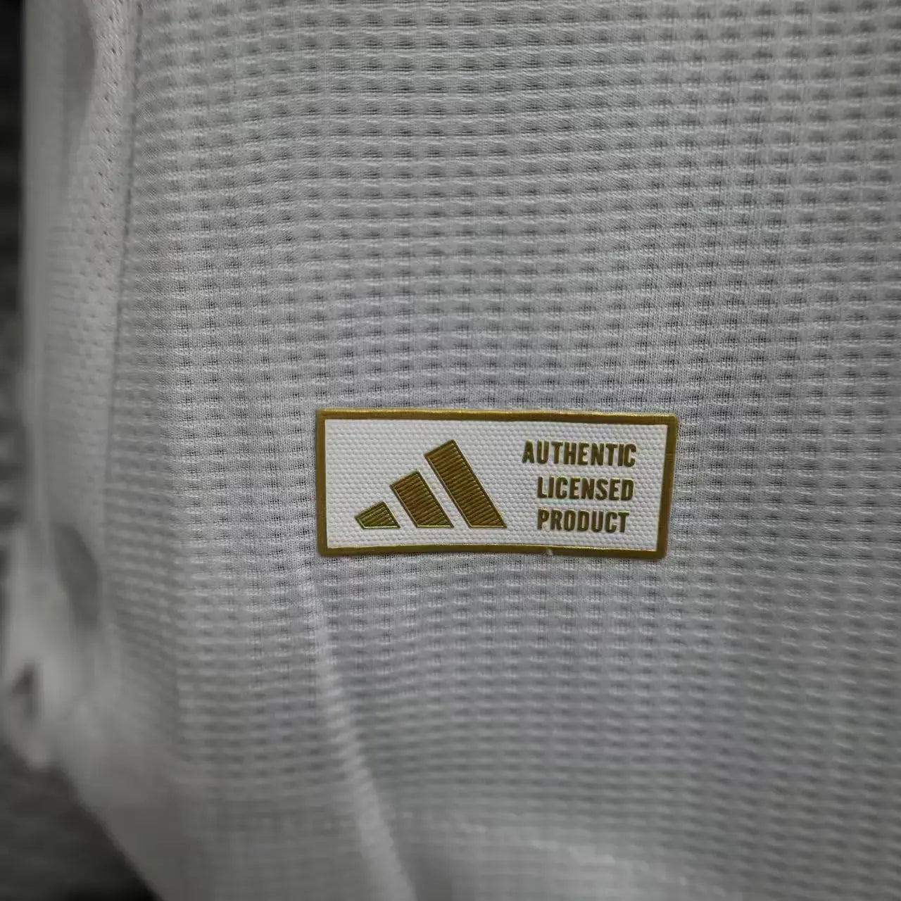 MAILLOT ASTON VILLA EXTERIEUR 2024/2025