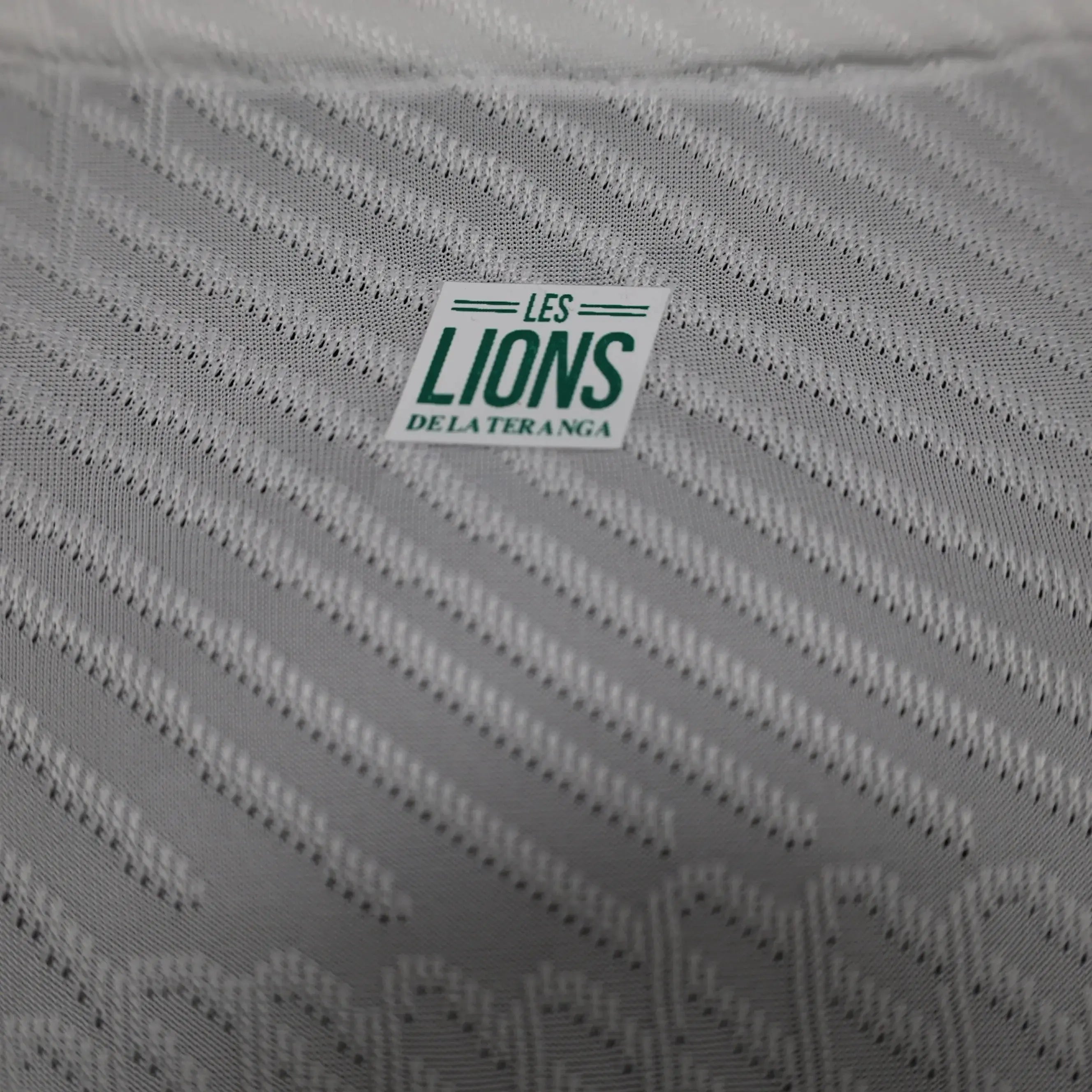 MAILLOT SENEGAL CONCEPT EDITION 2023/2024