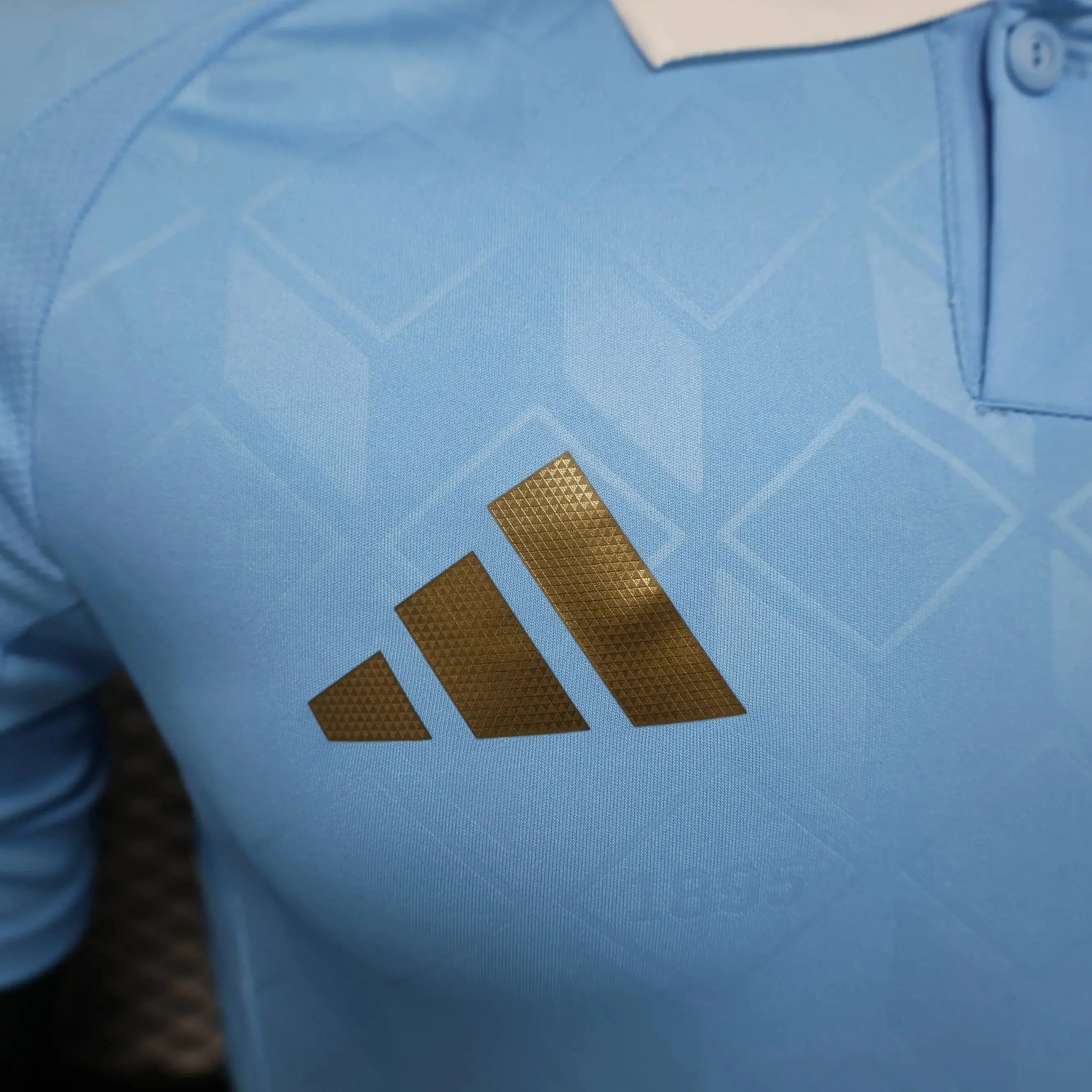 MAILLOT BELGIQUE EXTERIEUR 2024/2025